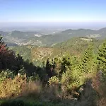 Hotel Garni Adler Post 3*