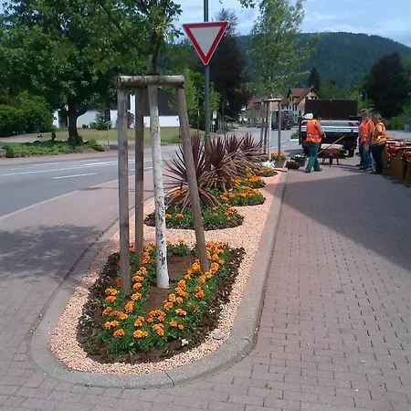 Hotel Garni Adler Post Baiersbronn
