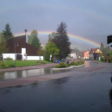 Garni Adler Post 호텔 3*