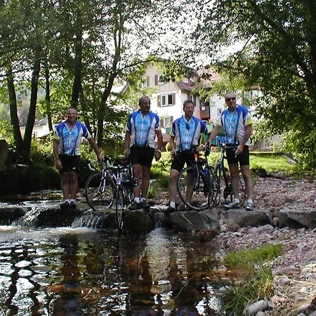 Garni Adler Post 호텔 3*