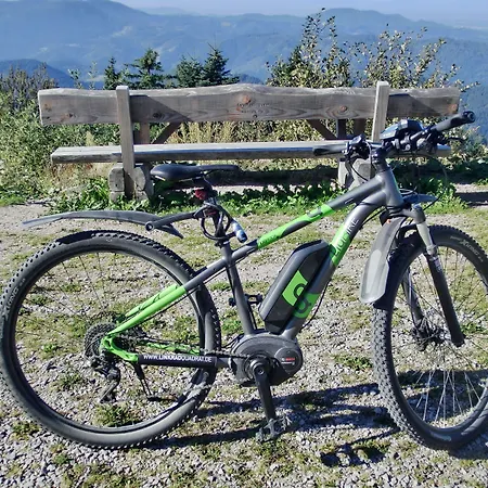 Hotel Garni Adler Post Baiersbronn