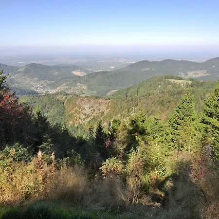 호텔 Garni Adler Post 3*