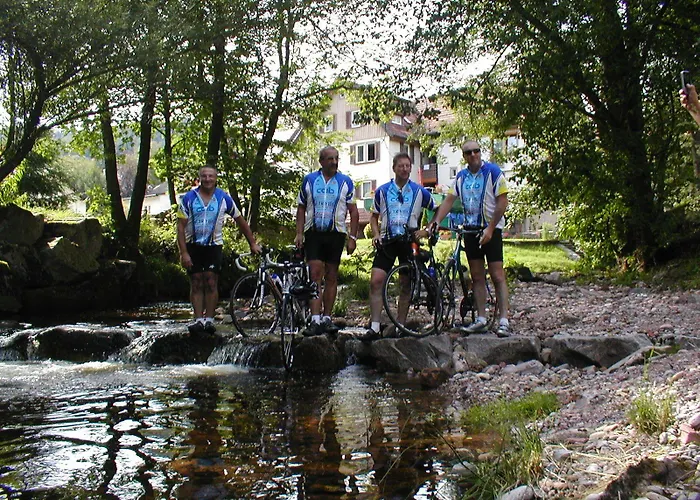 Garni Adler Post Hotel 3*