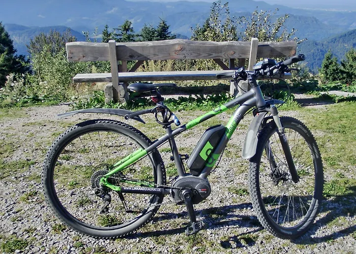 Hotel Garni Adler Post Baiersbronn