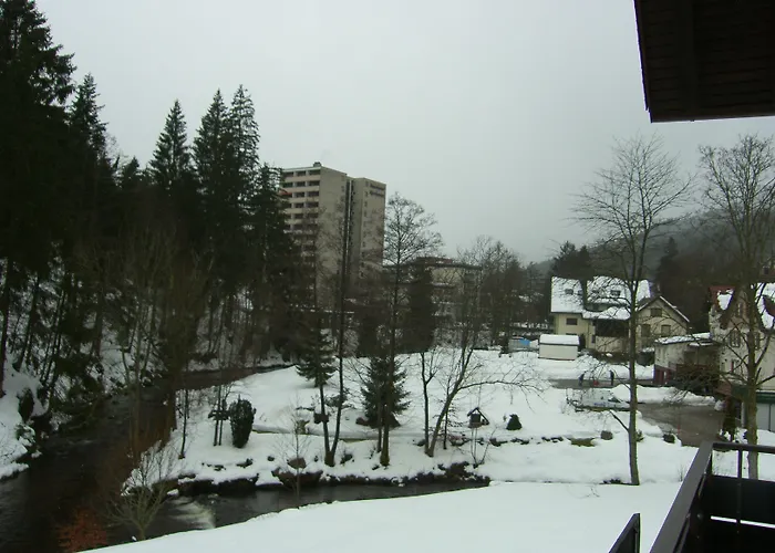 Garni Adler Post Hotel 3*