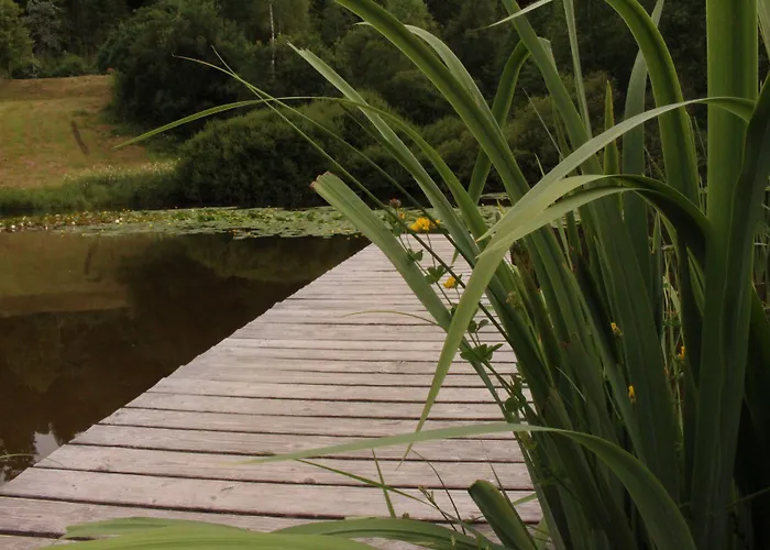 Garni Adler Post Hotel 3*